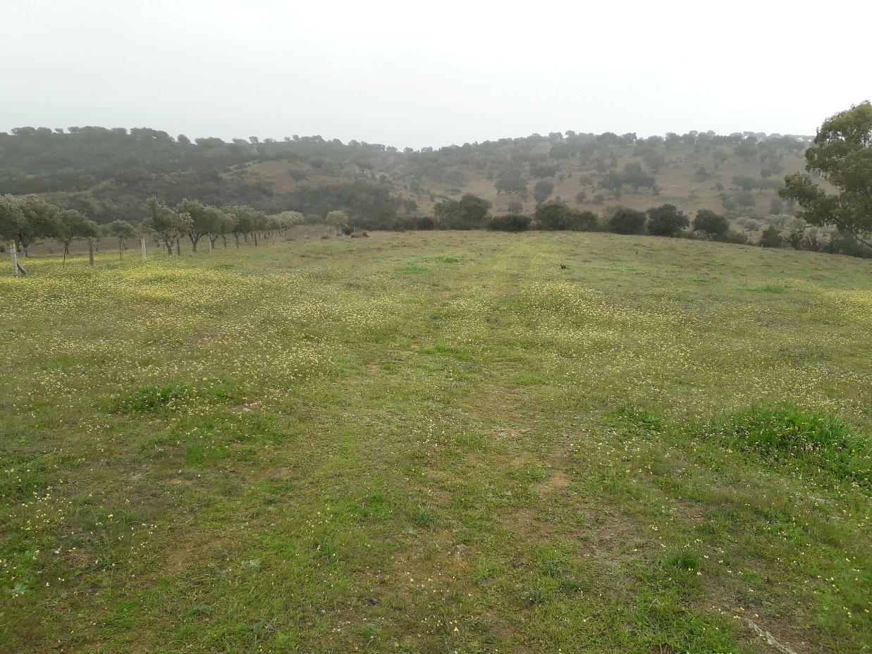 Rejoignez une équipe qui gagne