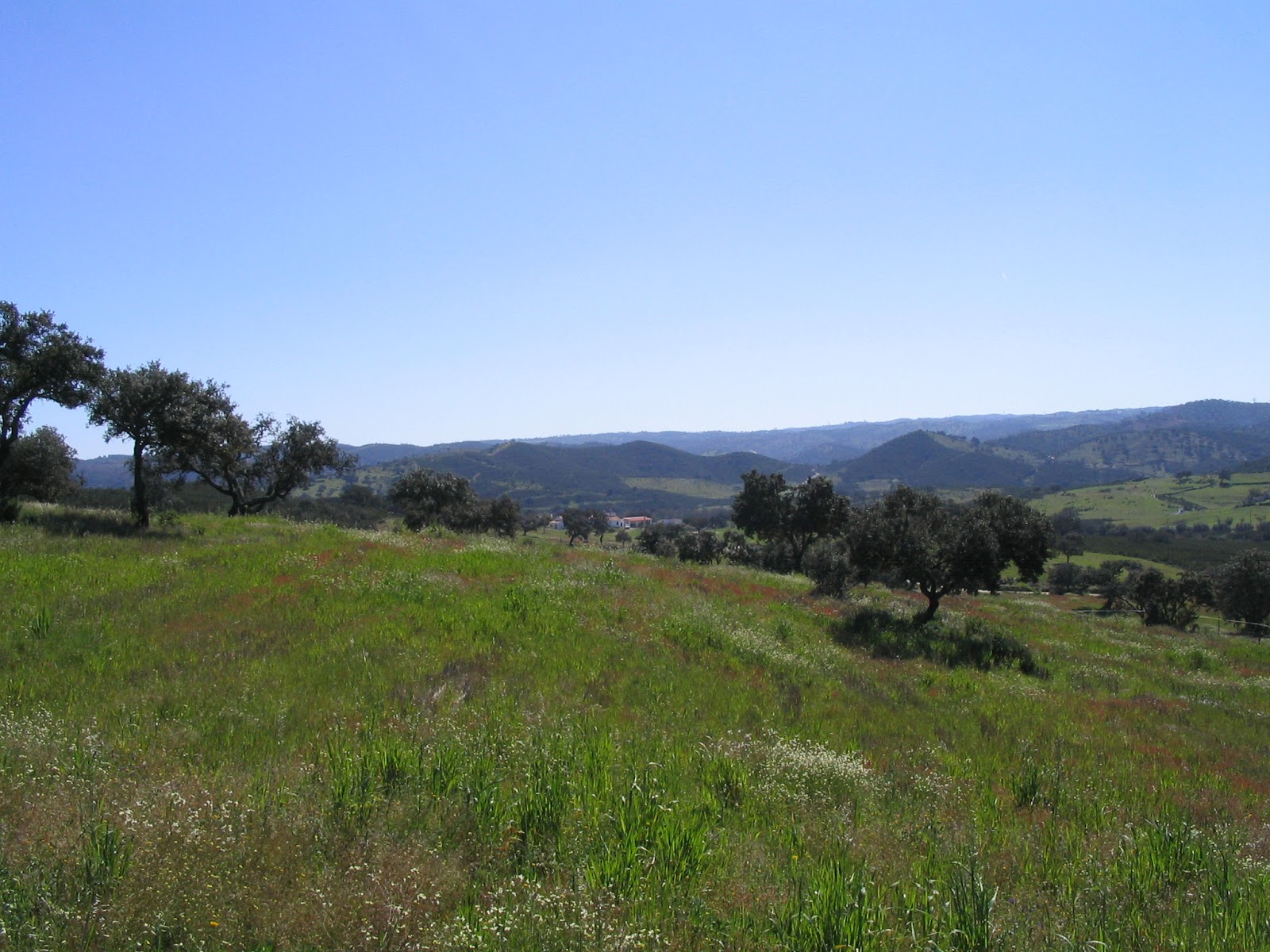 Quem Somos, Como Gostamos de Fazer